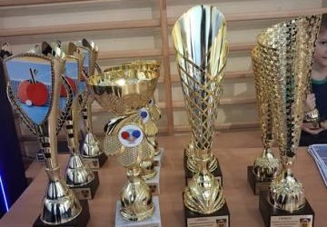 Turniej Tenisa Stołowego o Puchar Wójta Gminy Podegrodzie.