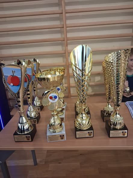 Turniej Tenisa Stołowego o Puchar Wójta Gminy Podegrodzie.