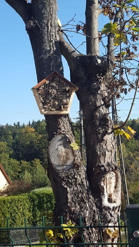 Domki dla pszczół.