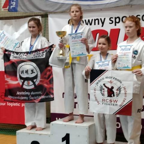 Taekwondo