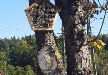 Domki dla pszczół.