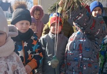 Styczniowe aktywności Stokrotek 🌼