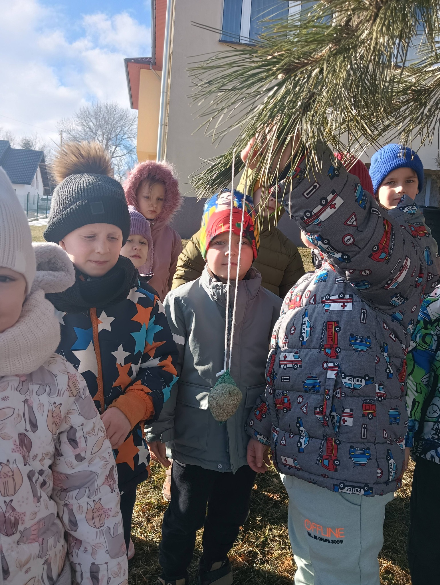 Styczniowe aktywności Stokrotek 🌼